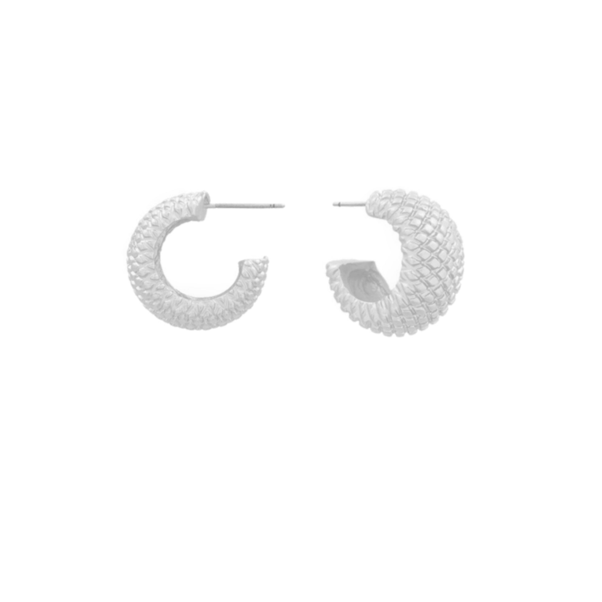 HOOPS – Pierce & Hide